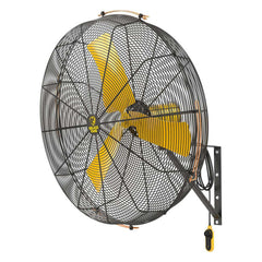Big Ass Fans AirEye 36